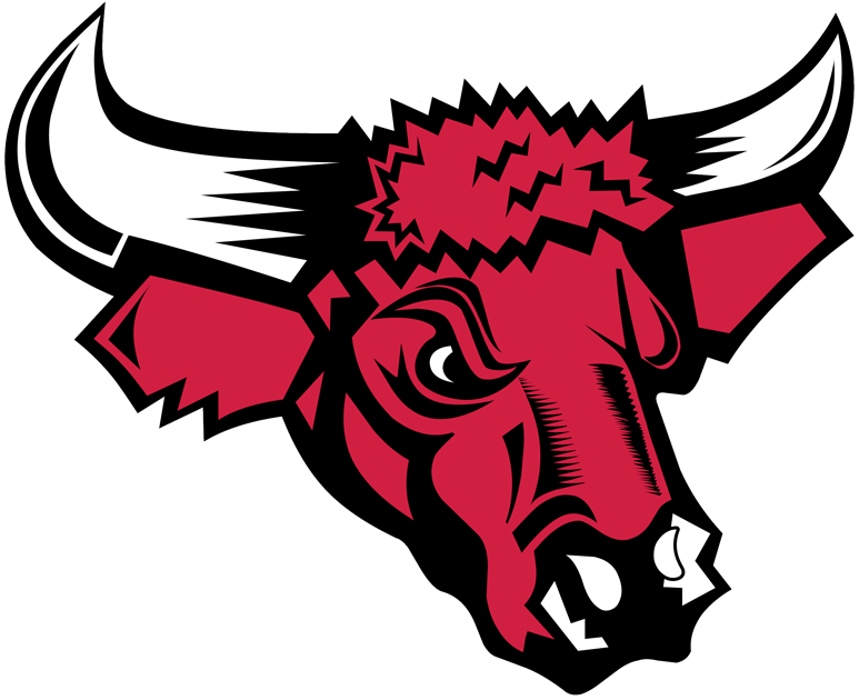 Nebraska-Omaha Mavericks 2004-2010 Secondary Logo diy iron on heat transfer